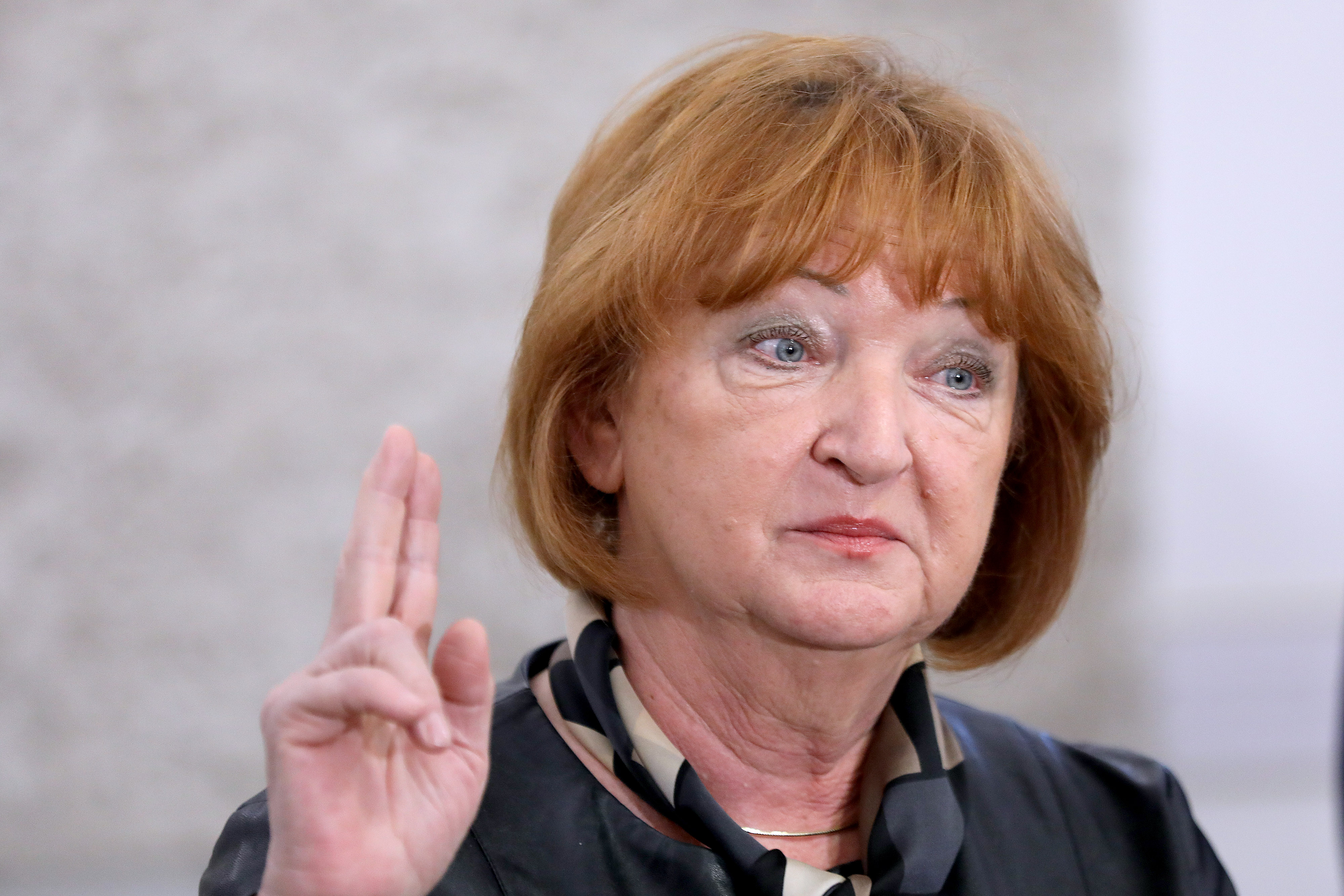 Zagreb: Konferencija za medije Zlate Hrvoj Šipek