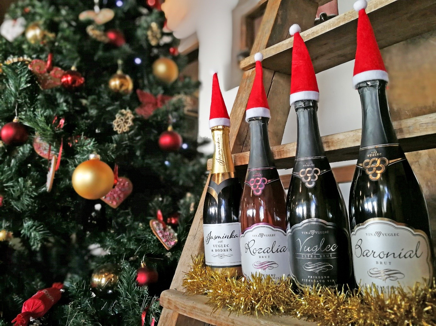 naslovna fotka vuglec