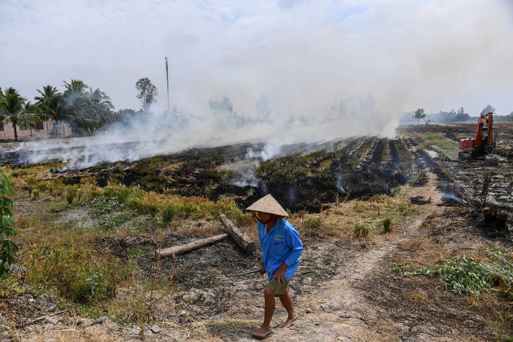 VIETNAM-CLIMATE-METHANE-RICE
