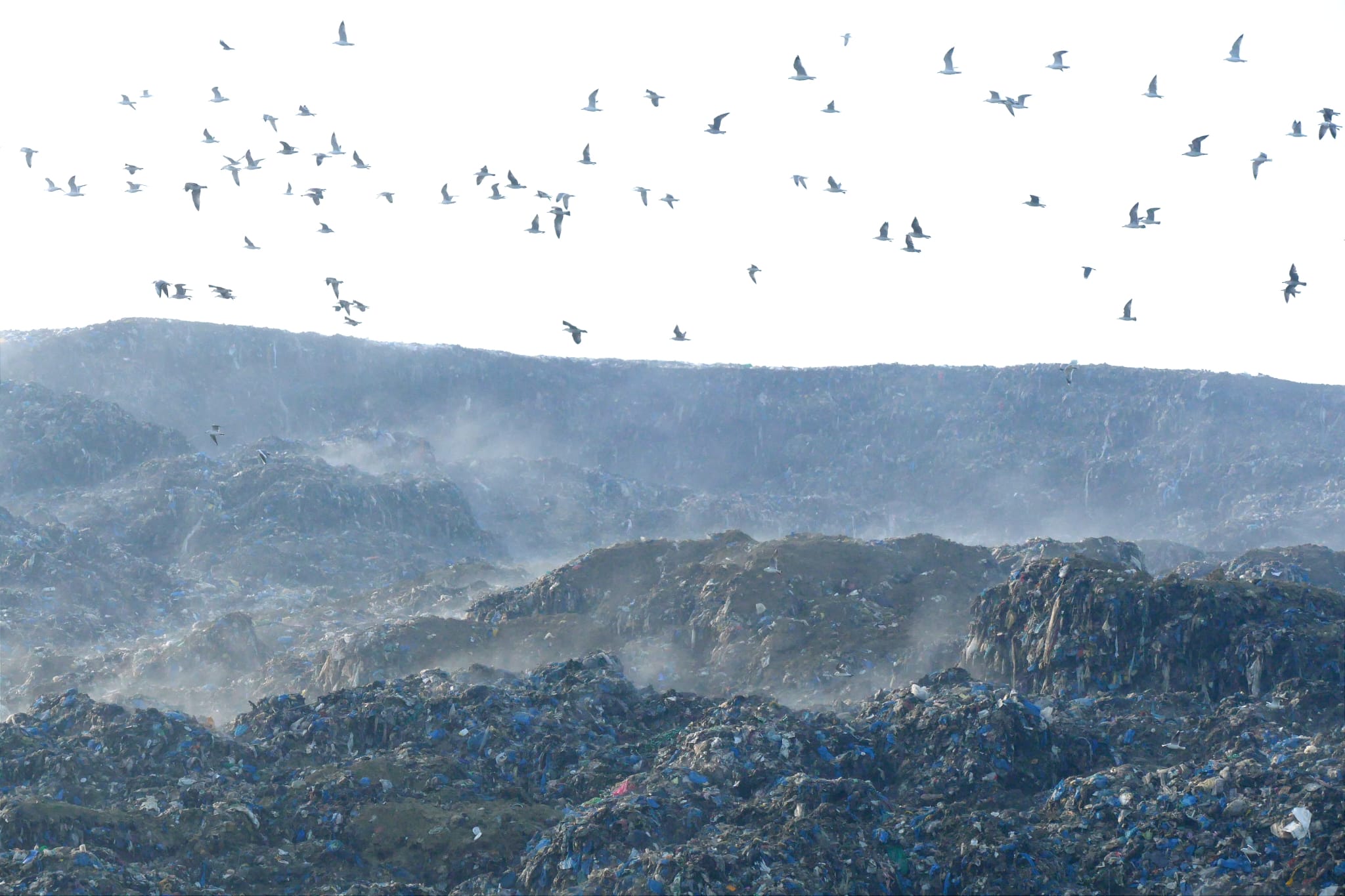 jakuševec, smeće, smetlište