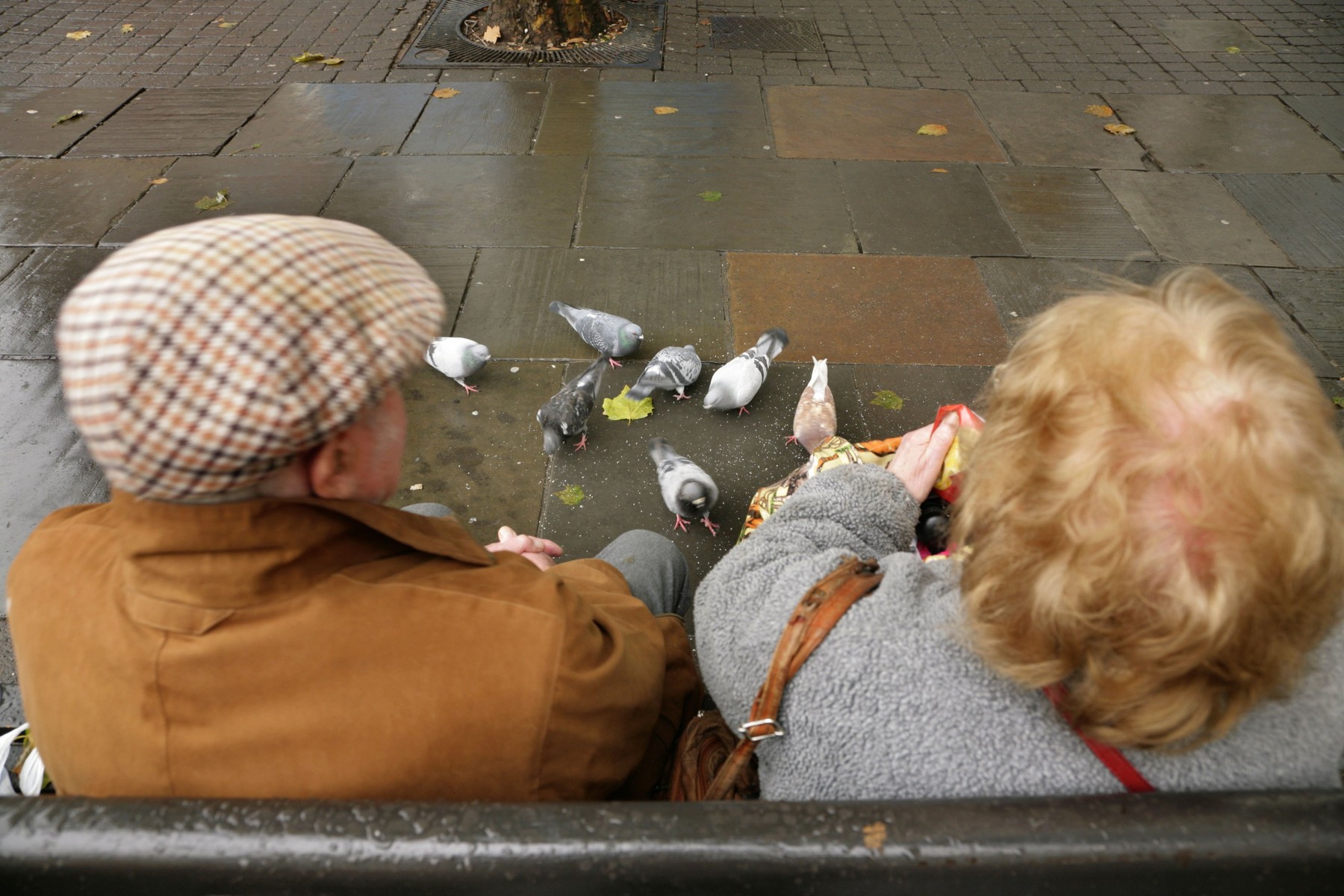 Two old age pensioners feeding the pigeons.