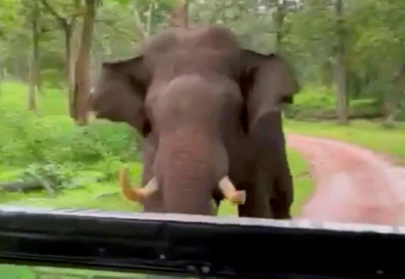 profimedia-0721101501