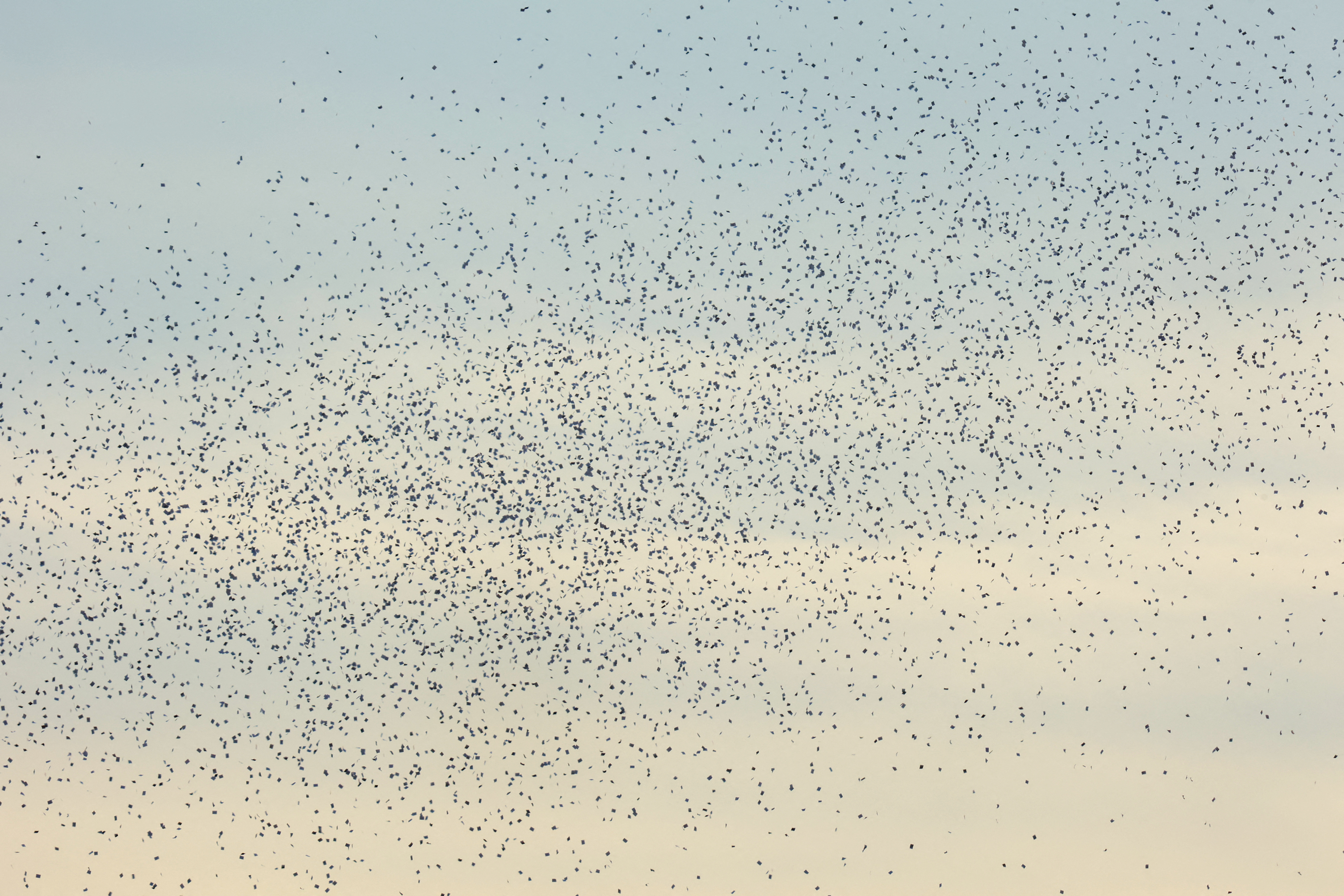 izrael palestina kmonflikt