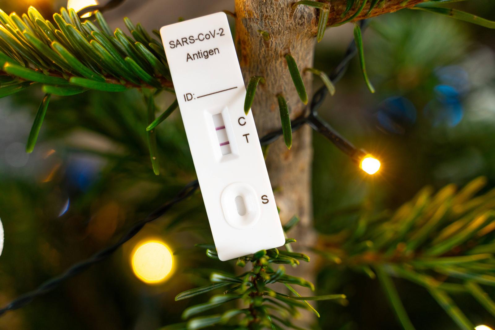 Augsburg, Bavaria, Germany - December 13, 2023: A positive Covid-19 rapid test in a decorated Christmas tree. Corona Sic