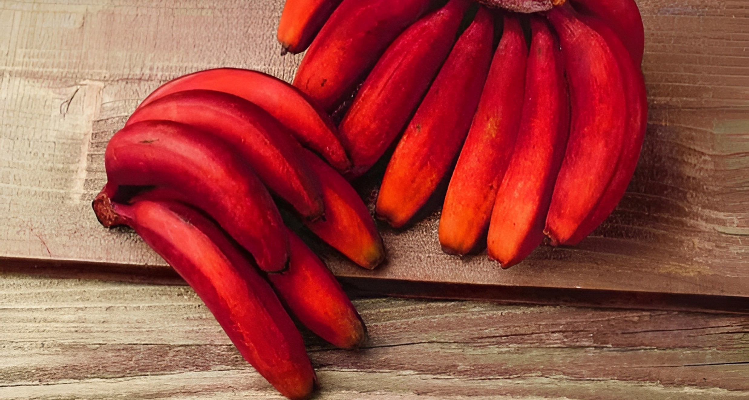 1704287646-shutterstock_2373911157