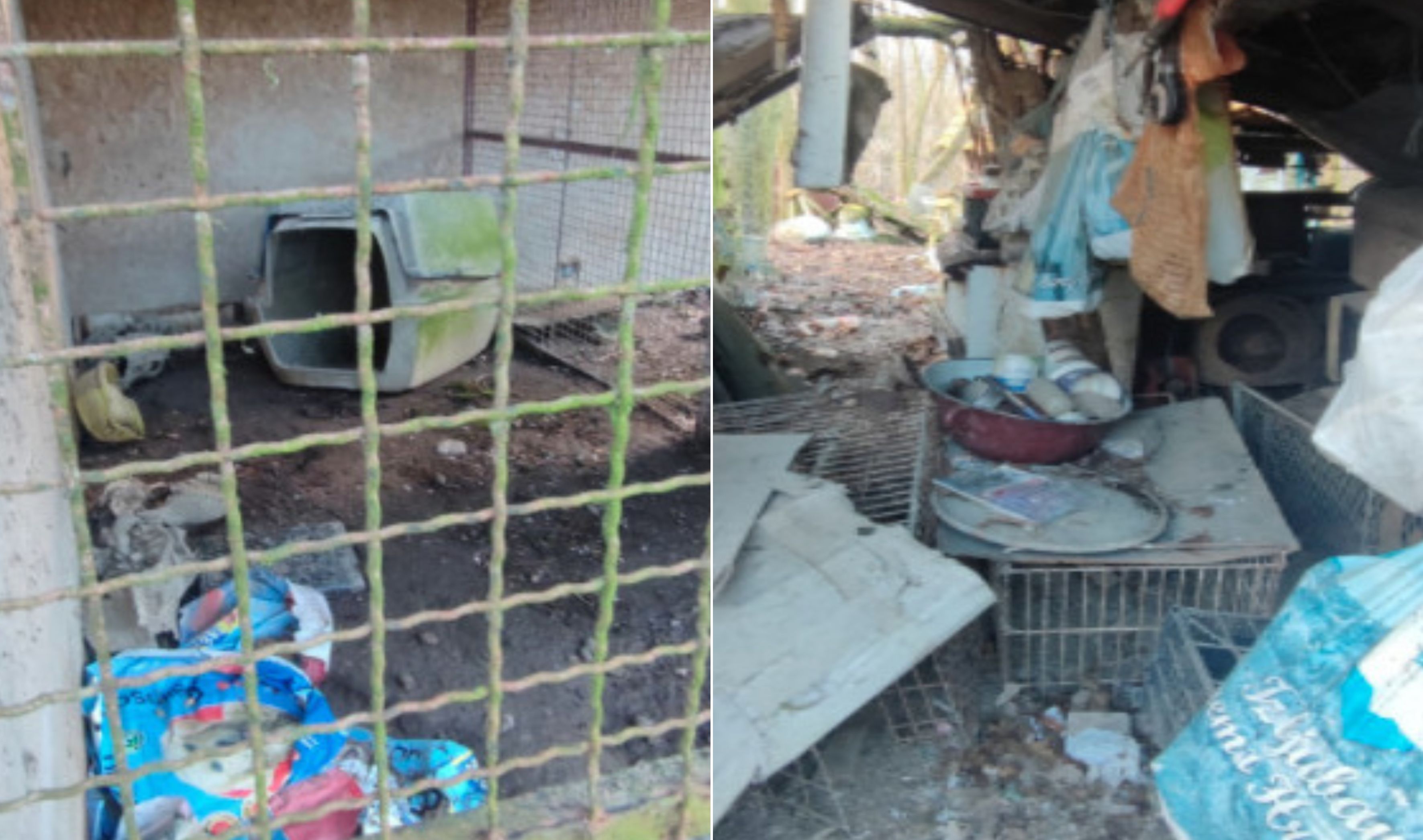 horor dvorište, zaprešić, psi, životinje