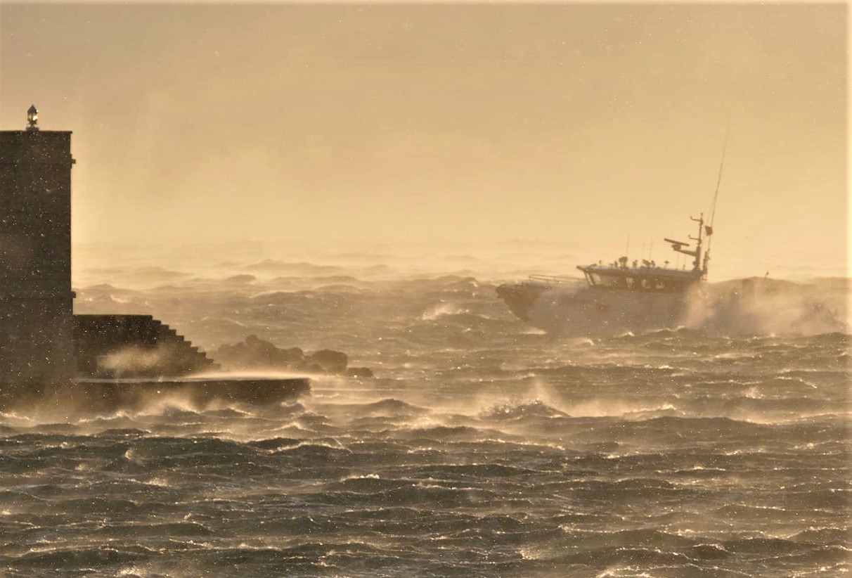 Dalibor Prodanić / MEDICO
