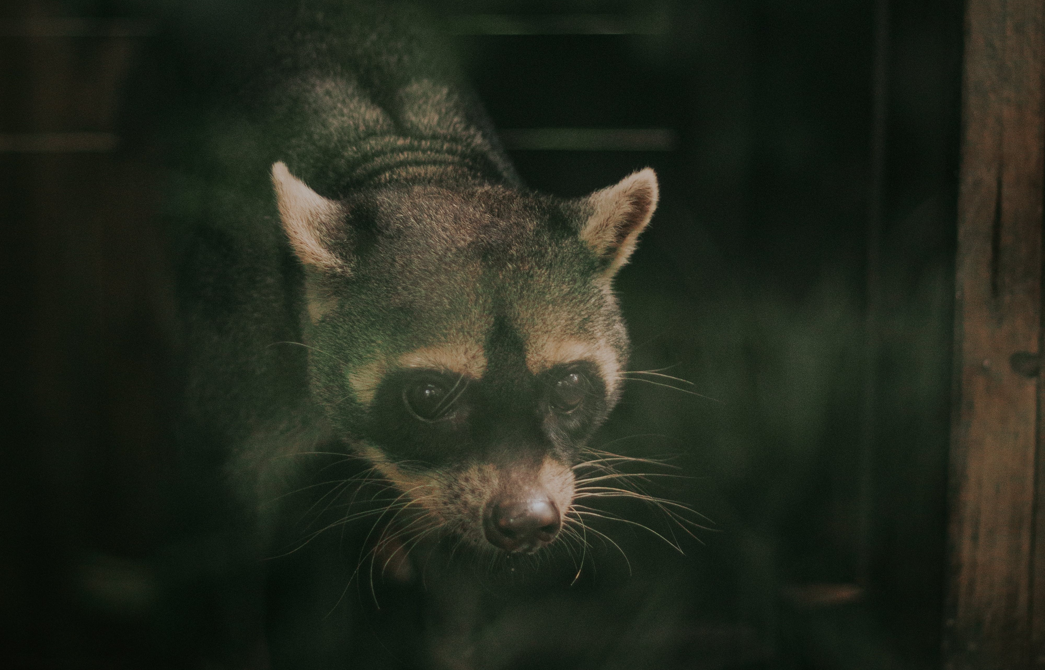 pexels-camilo-ospina-14408428