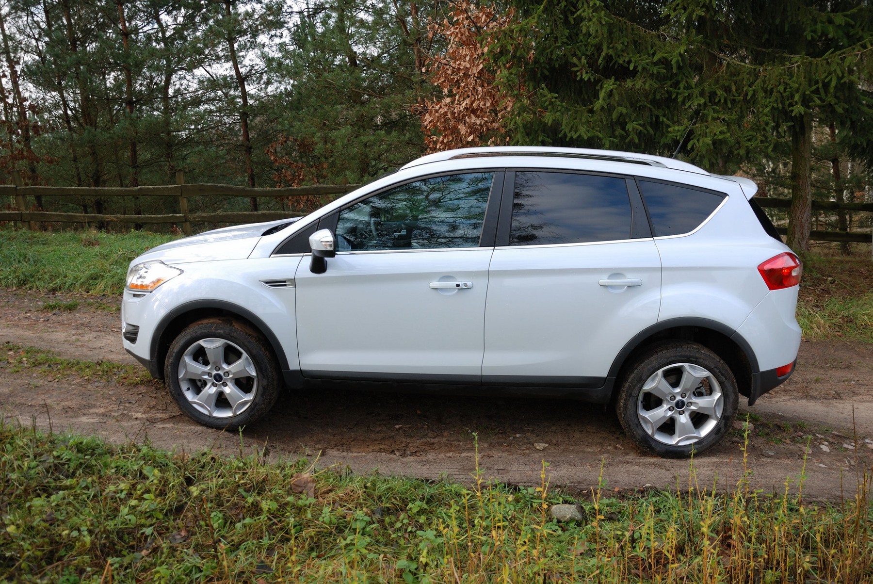 Ford Kuga 2.0 TDCI AWD PowerShift - MY 2008 - white pearl metallic - five doors (5D) - Popular German compact SUV - in forest