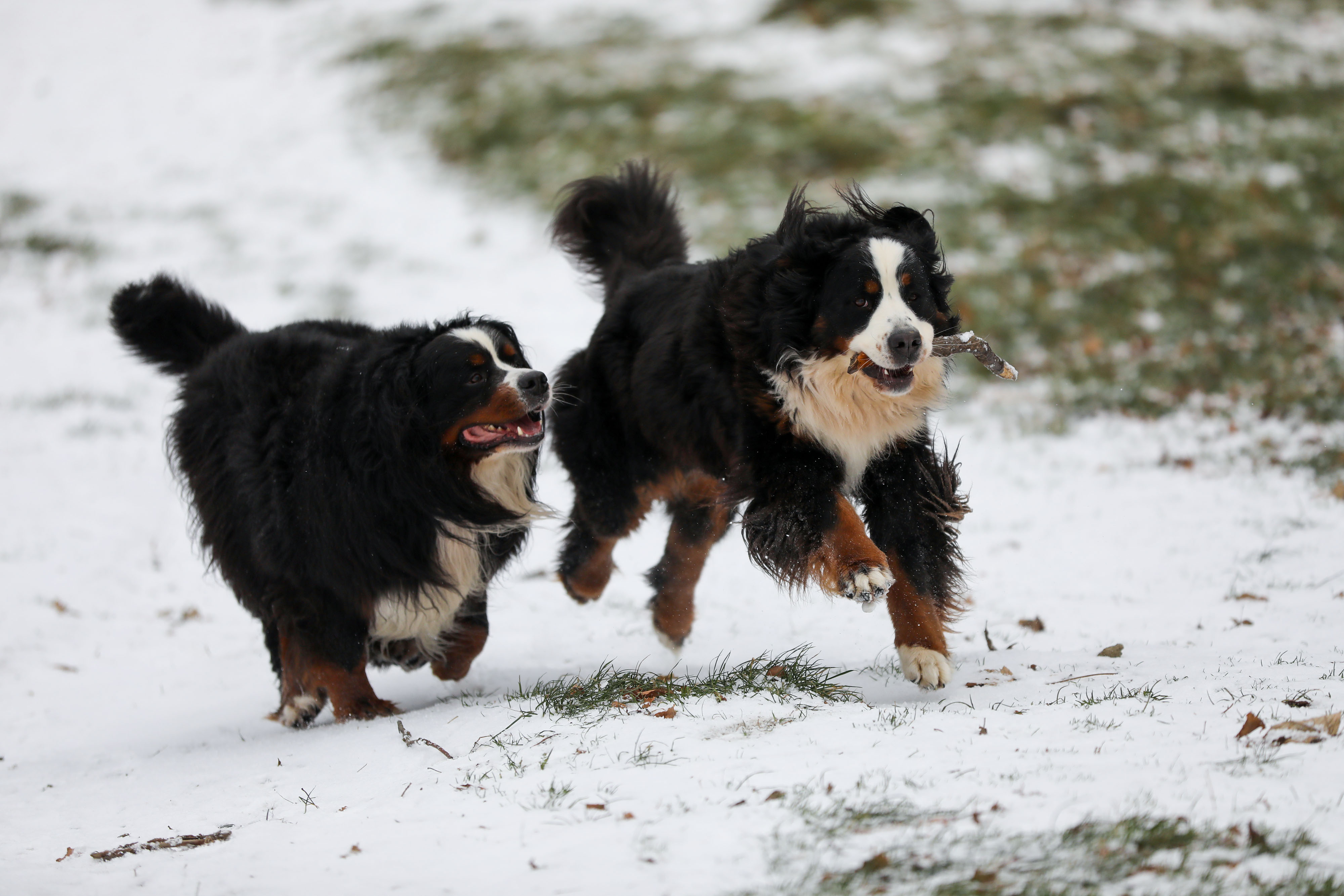 Zagreb: Prvi ovosezonski snijeg na Sljemenu