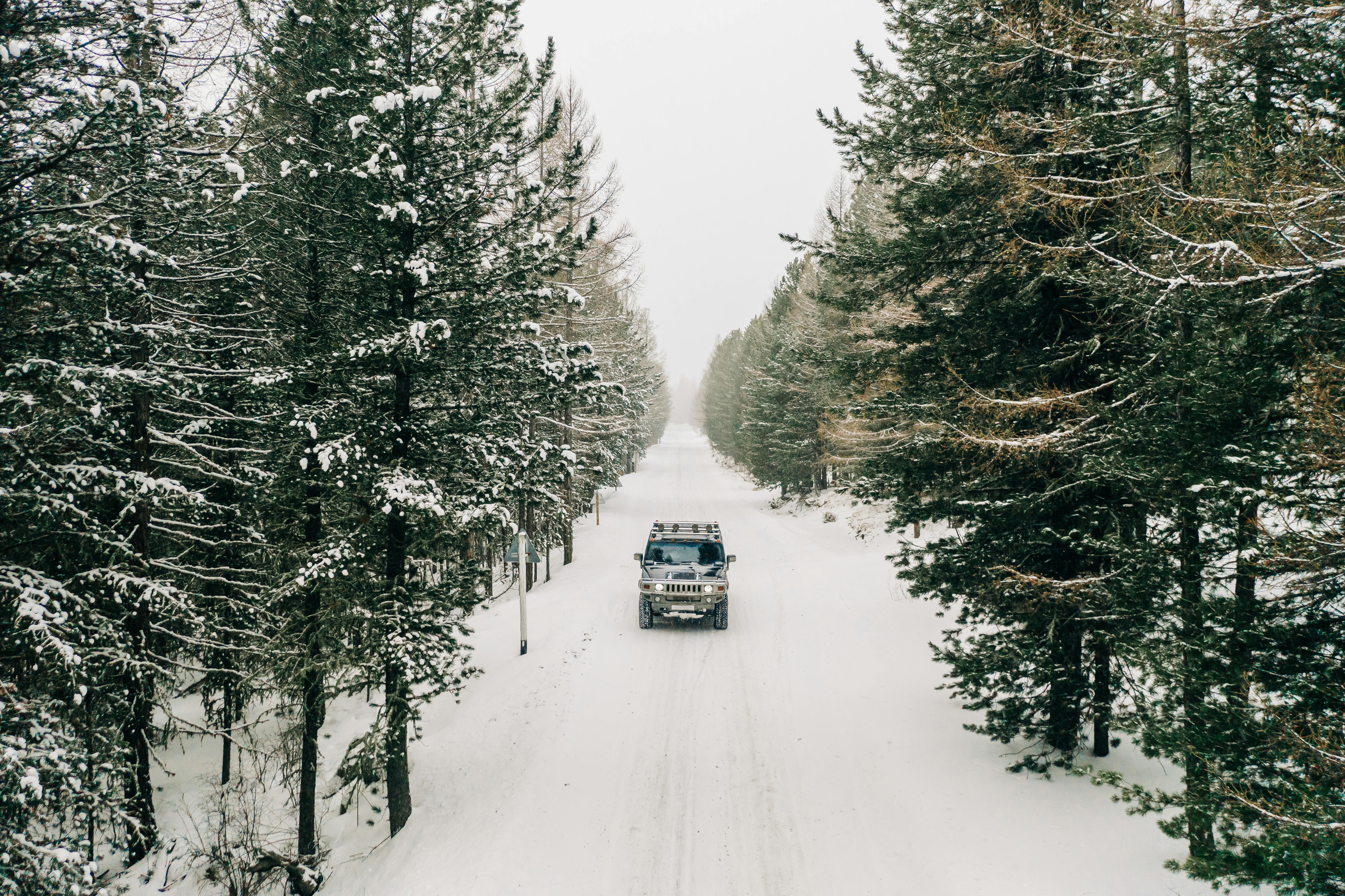 zima uatomobil, auto, šuma