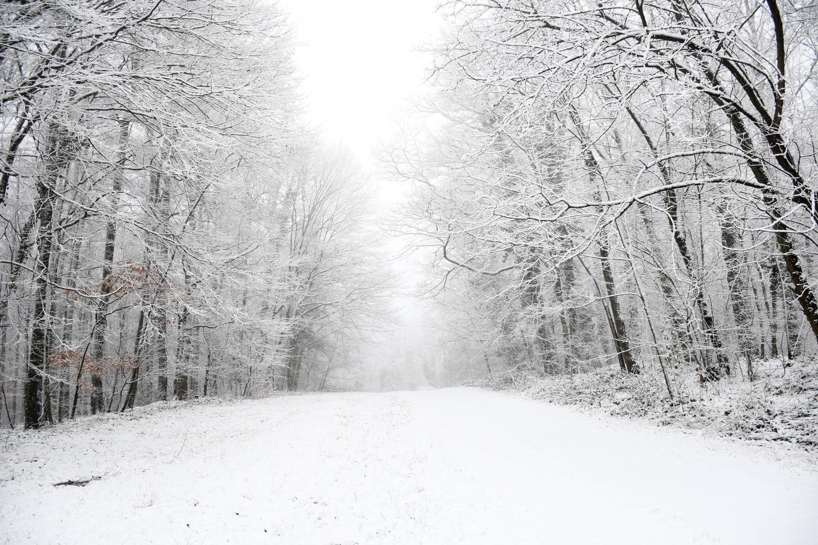 Snijeg koji je noćas napadao zabijelio je Bilogoru