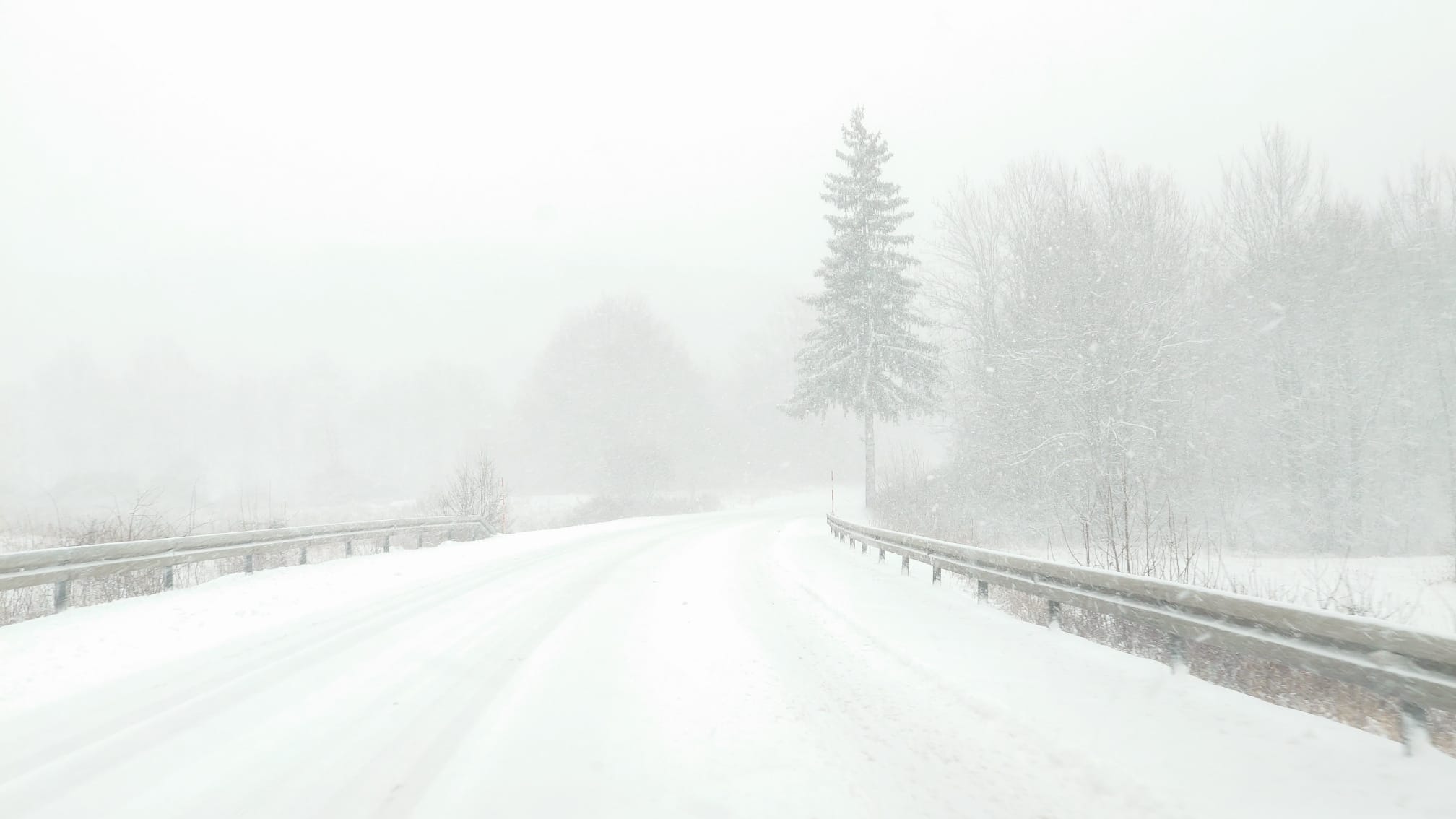 snijeg, cesta, zimski uvjeti, autocesta, zima, mećava, Korenica, Lika