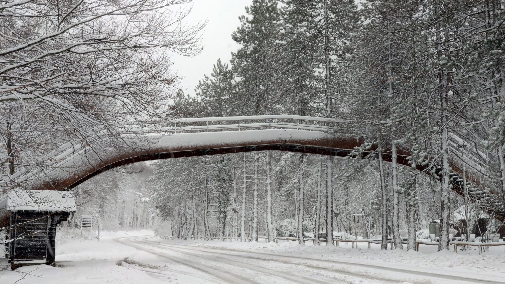 snijeg, cesta, zimski uvjeti, autocesta, zima, mećava, Korenica, Lika
