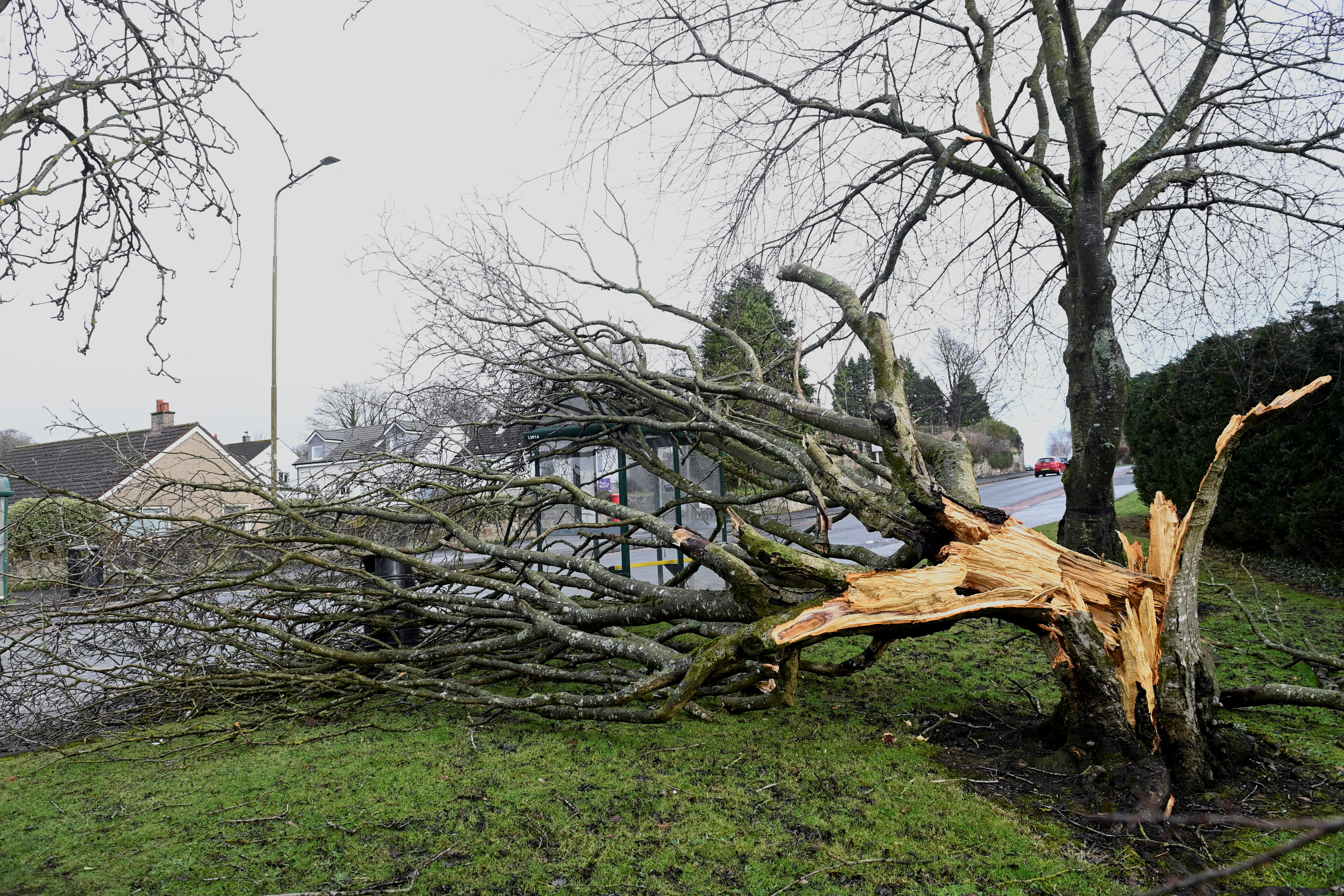 Storm Isha in Linlithgow