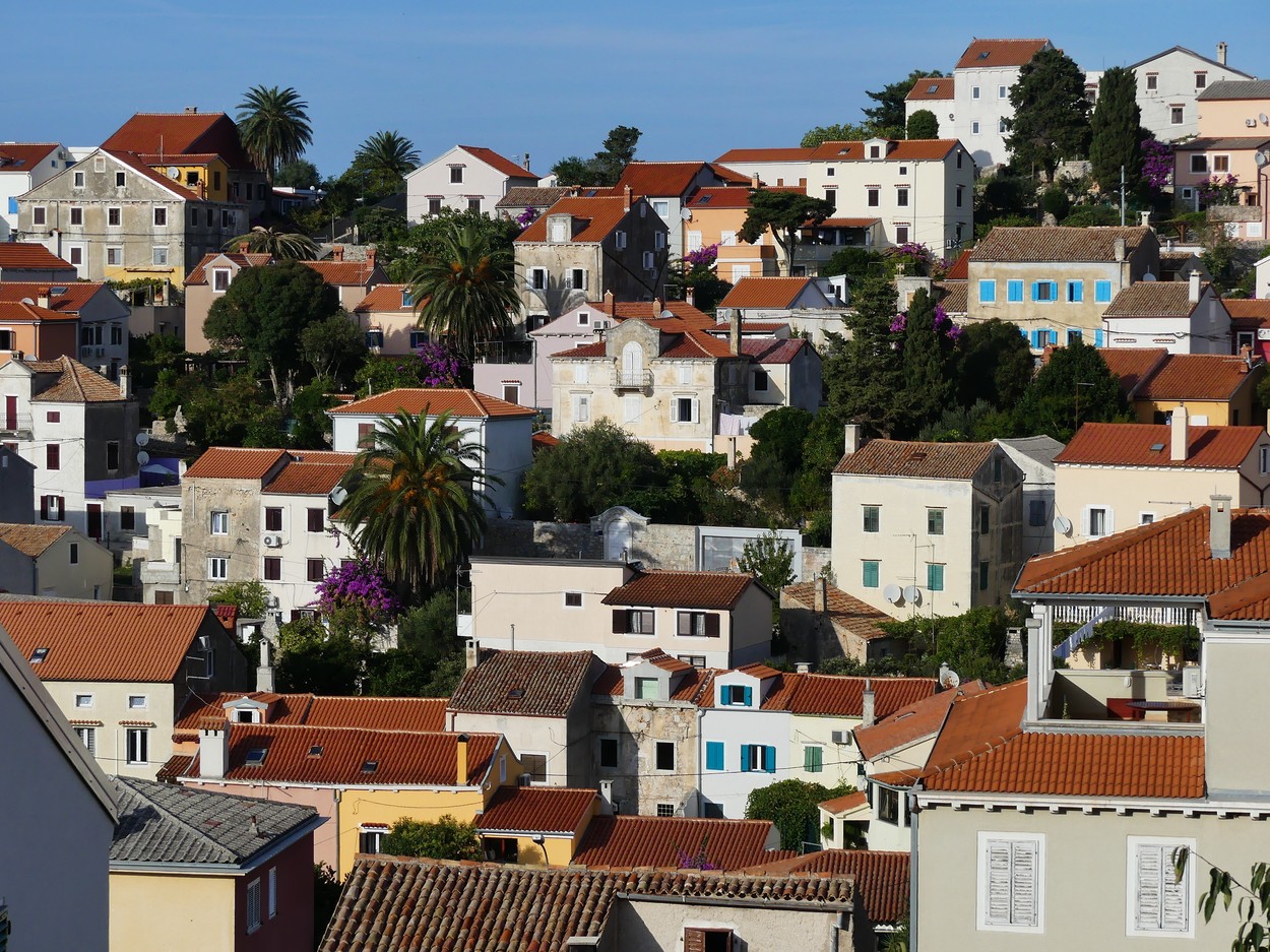 small houses of a southern town with palm trees