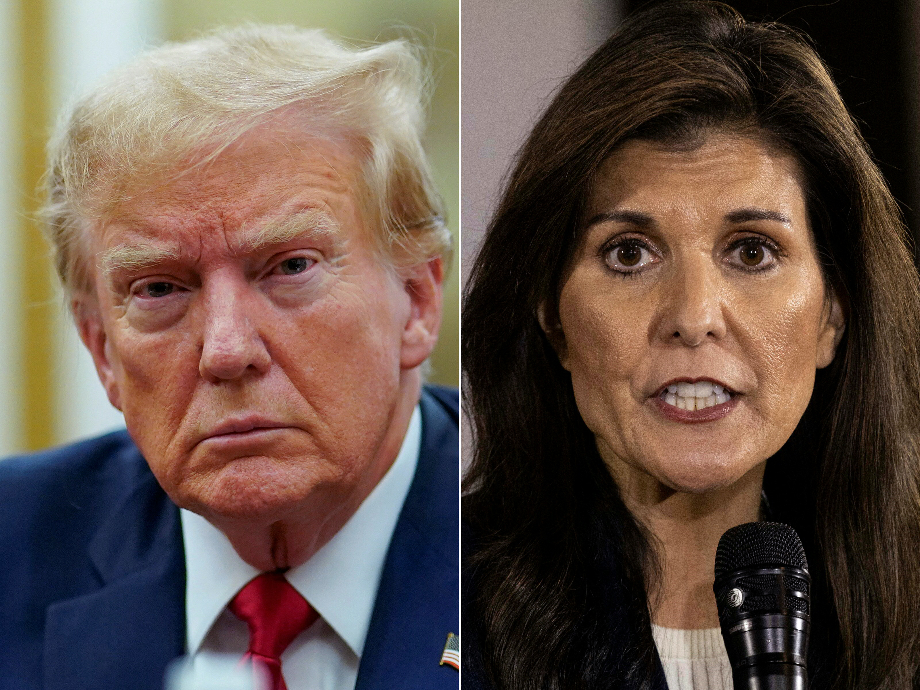donald trump, nikki haley