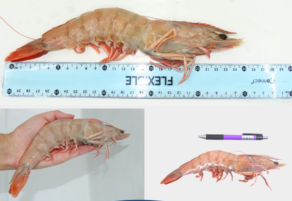 424627559_774553311371576_6182562281328387934_n