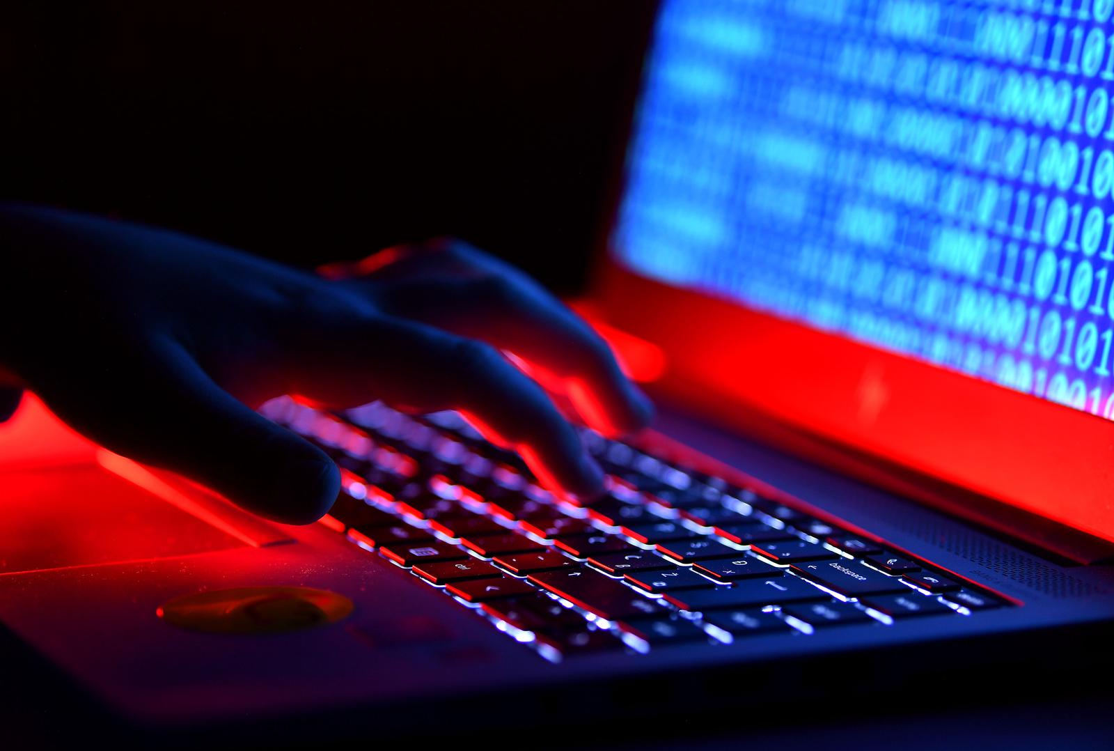 Cyber kriminal sve je češća pojava