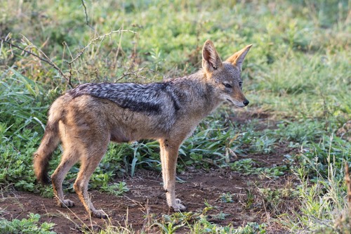 profimedia-0442358989