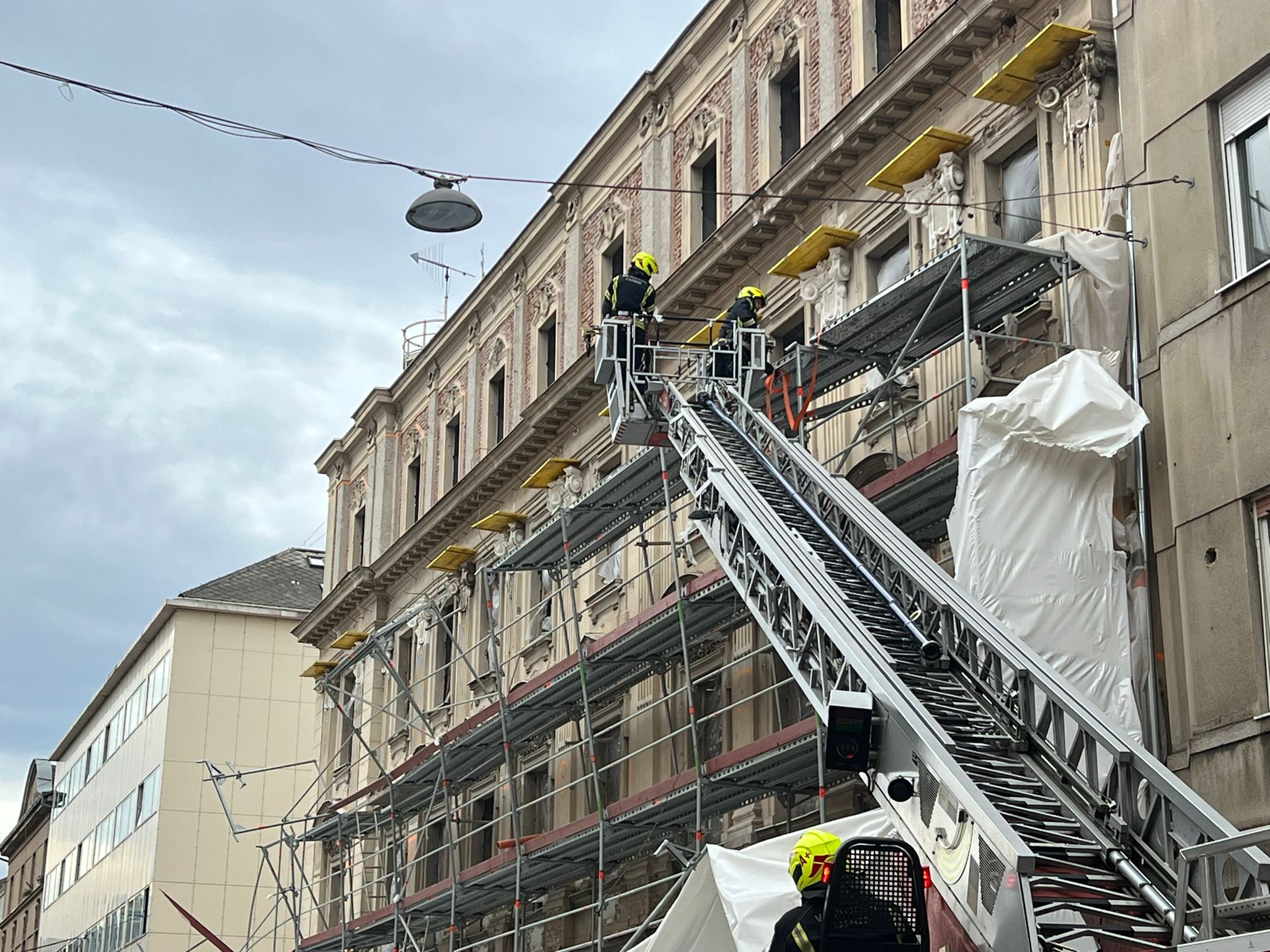 WhatsApp Image 2024-02-09 at 13.33.10