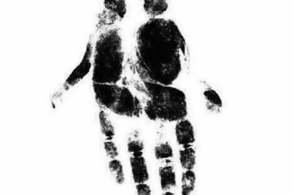 45b85141ffc06fcd5c29