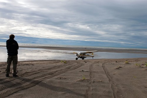 A man watches a single engine prop plane land on a sandy beach, Lake Clark National Park, Alaska, United States of America
