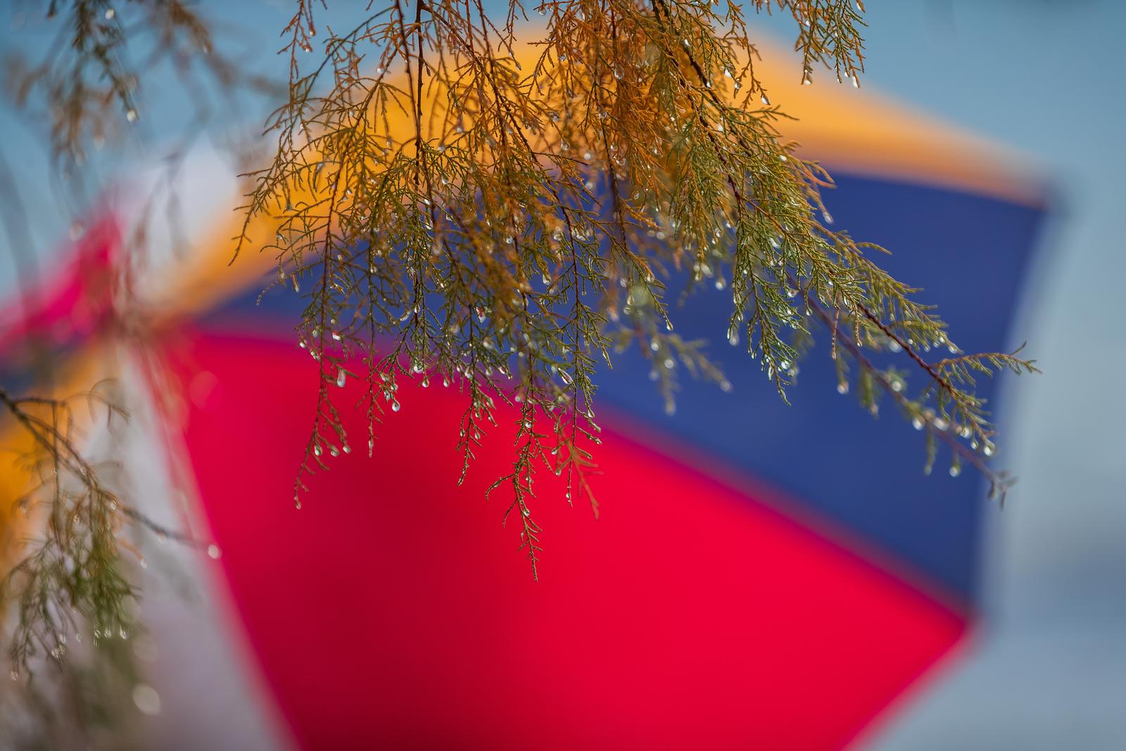 Kišni ugođaj vladao je u Splitu prvoga dana u godini