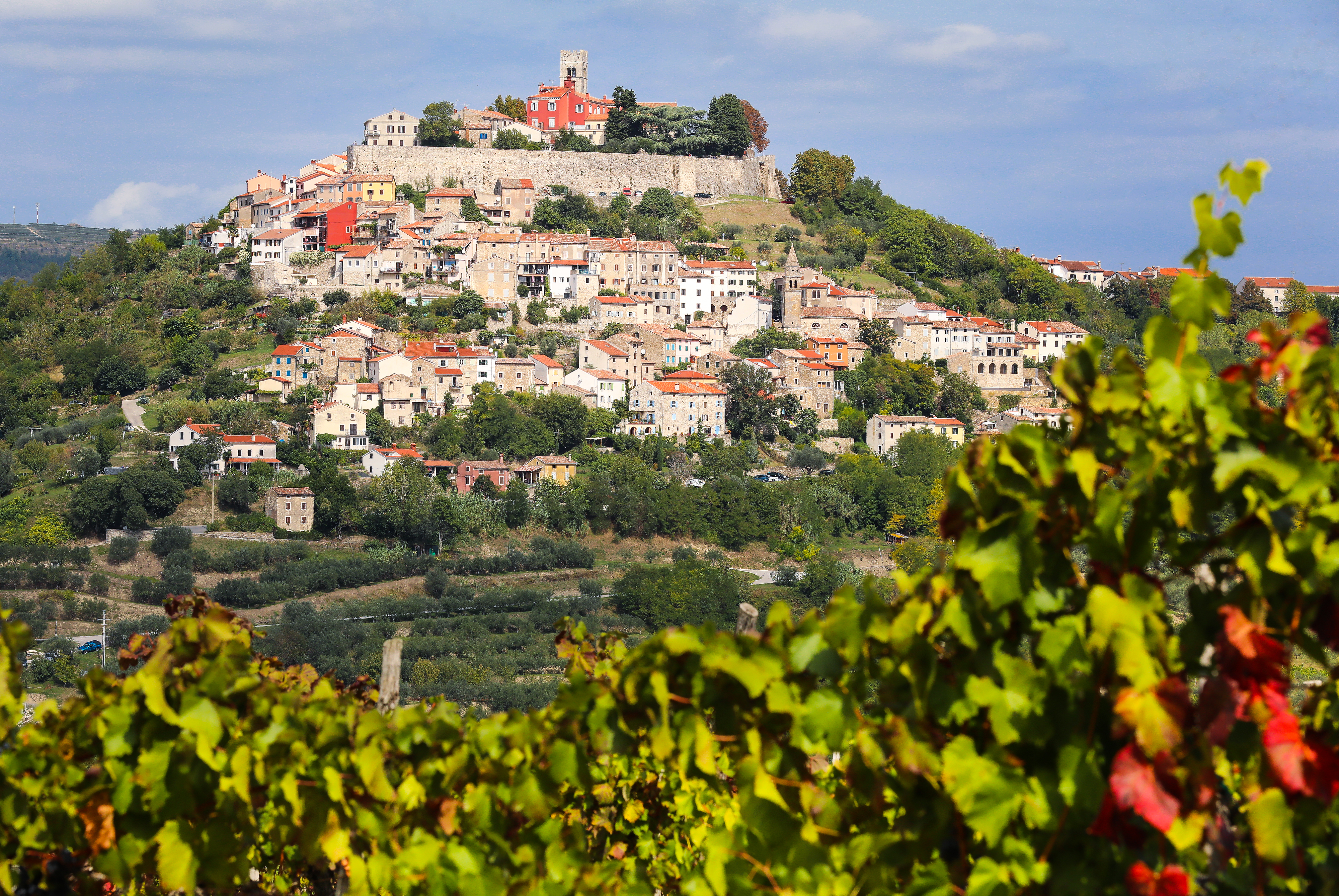 IZBOR UREDNIKA: Najnovije...