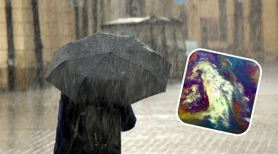 Untitled design (13)