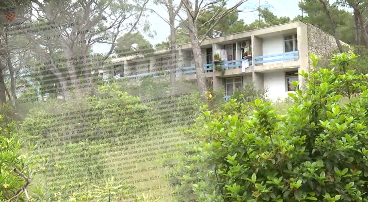 imageedit_4_5017494018