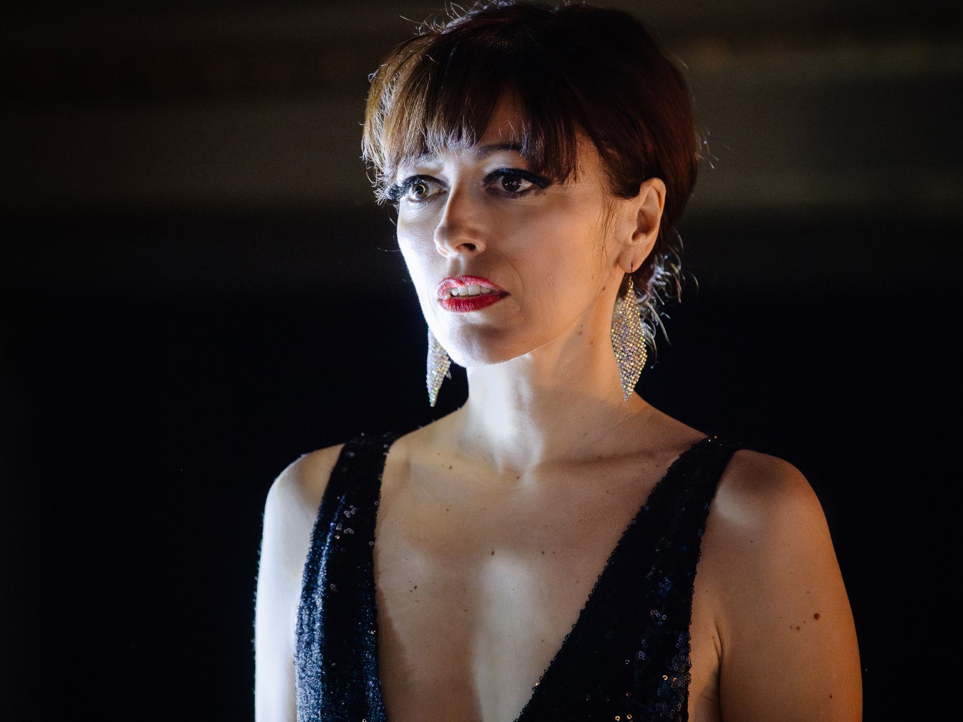 Mačka na limenom krovu