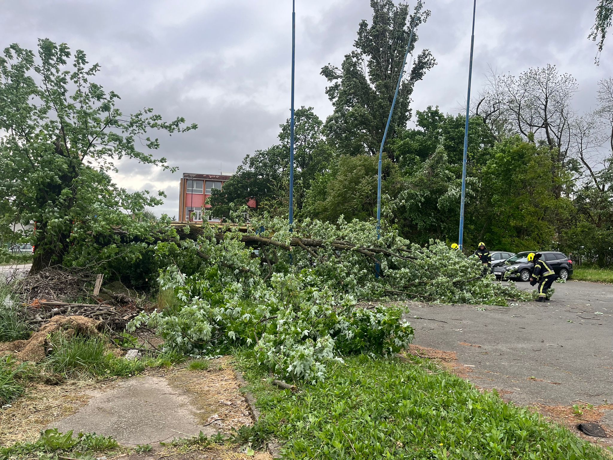 Nataša Vidaković / N1