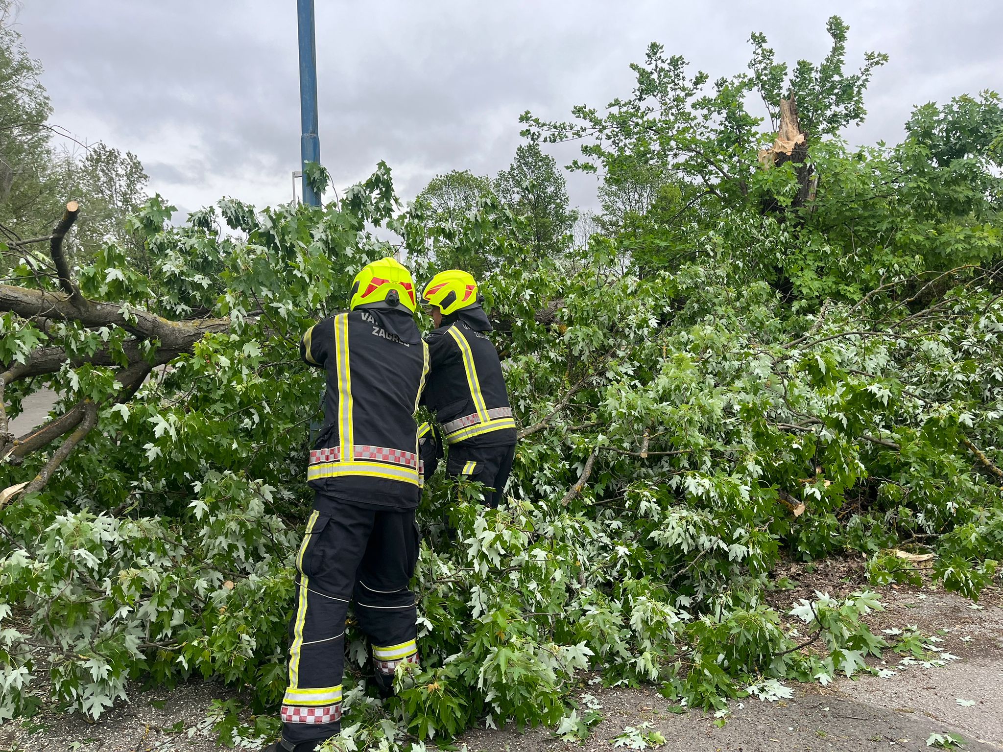 Nataša Vidaković / N1