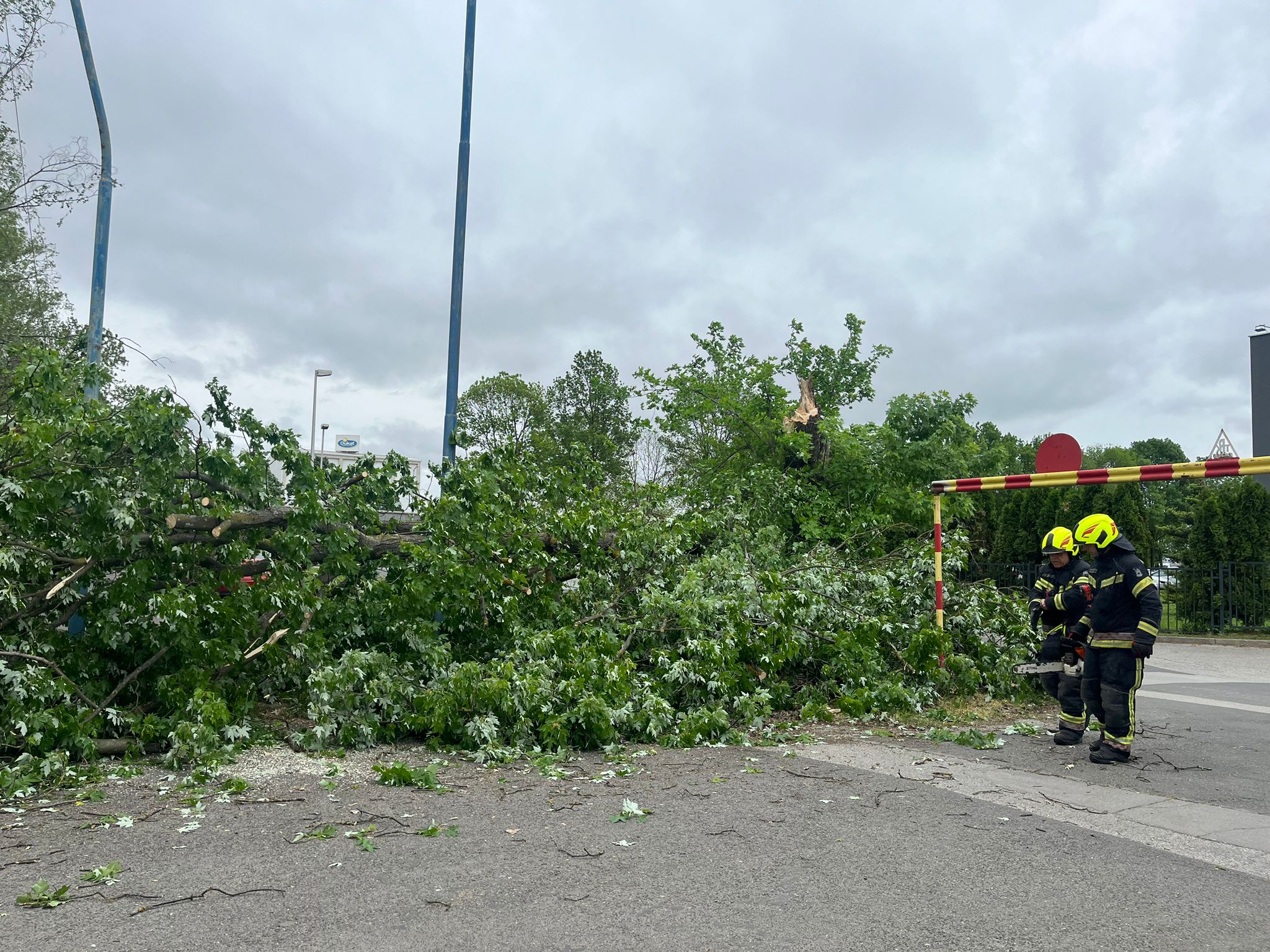 Nataša Vidaković / N1