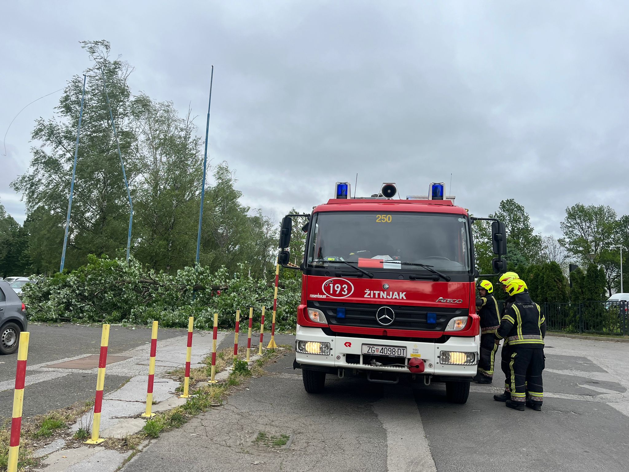 žitnjak, drvo, nevrijeme