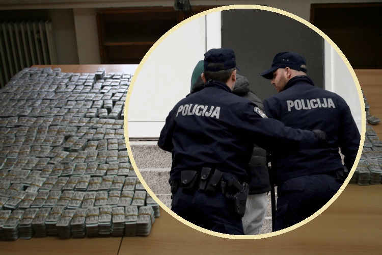 imageedit_2_6296026910