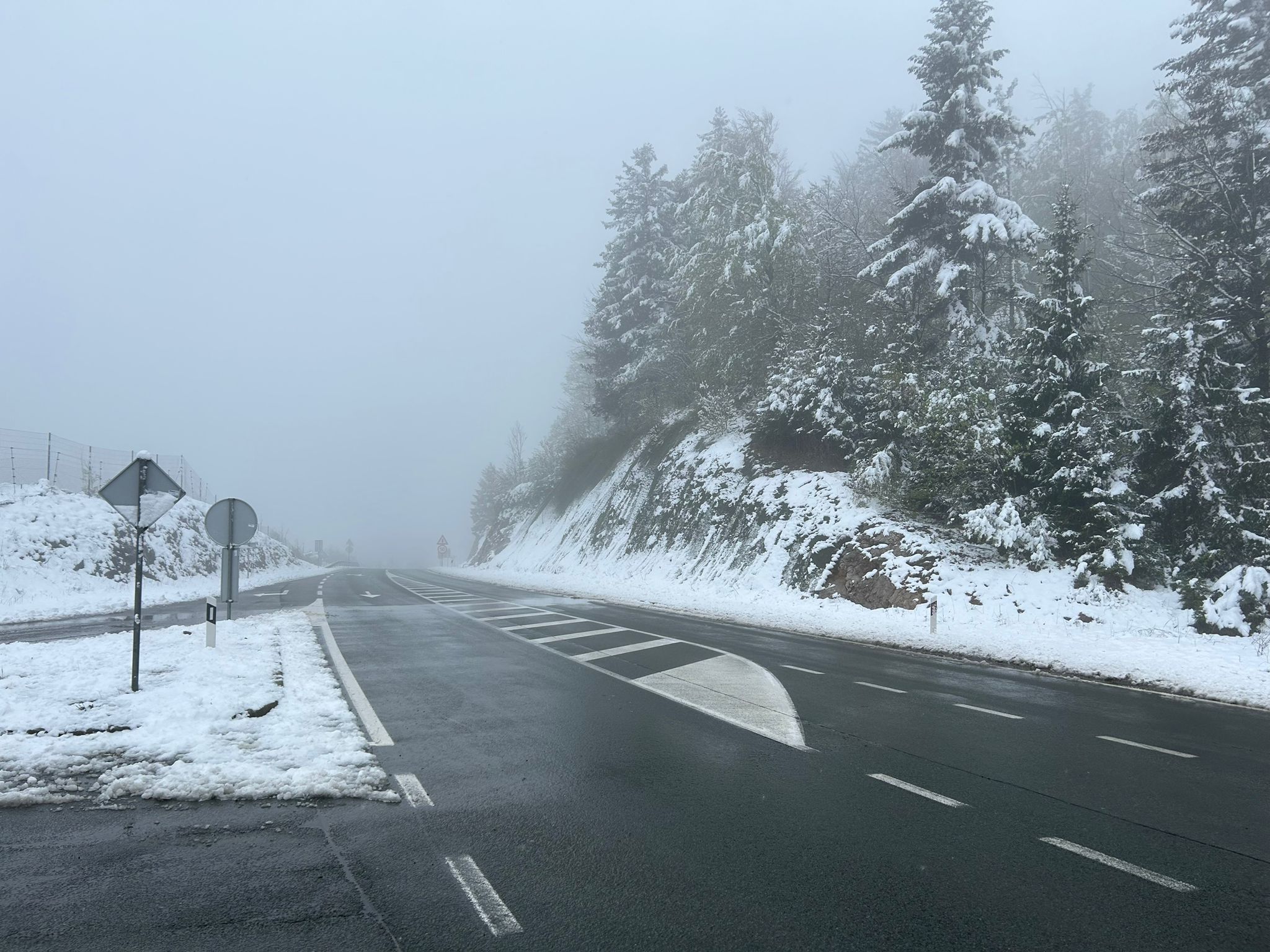 snijeg, zima, magla, hladno vrijeme, cesta