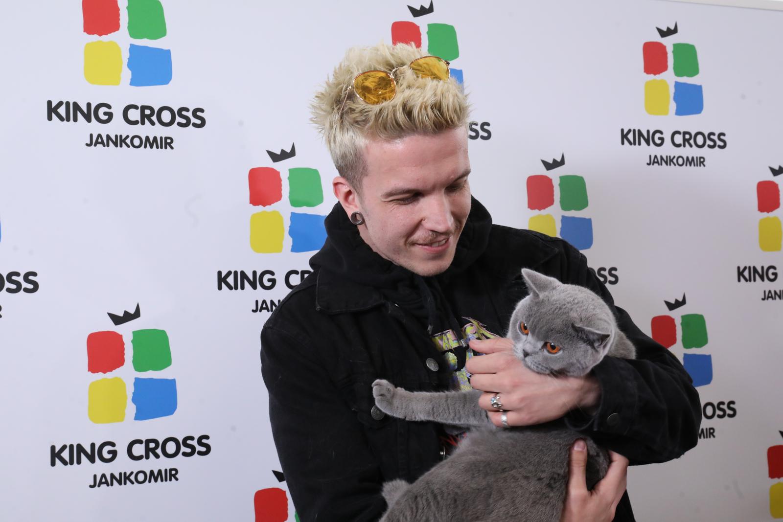 Zagreb: Baby Lasagna došao je na Međunarodnu izložbu mačaka na Meet &amp; Greet