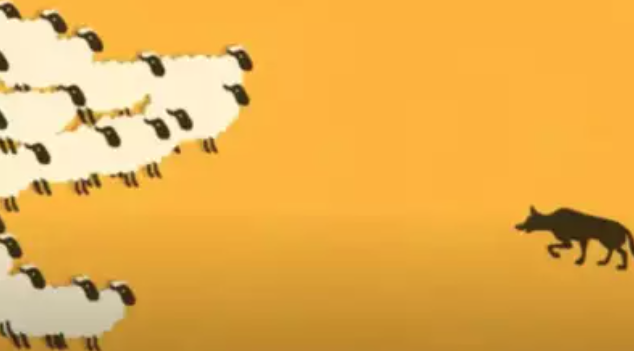 Snimka zaslona 2024-04-29 125503