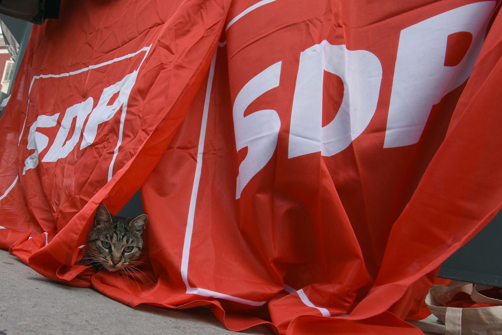 Pula: Razigrani ma?ak "napao" zastavu SDP-a i time izmamio osmijeh gra?ana