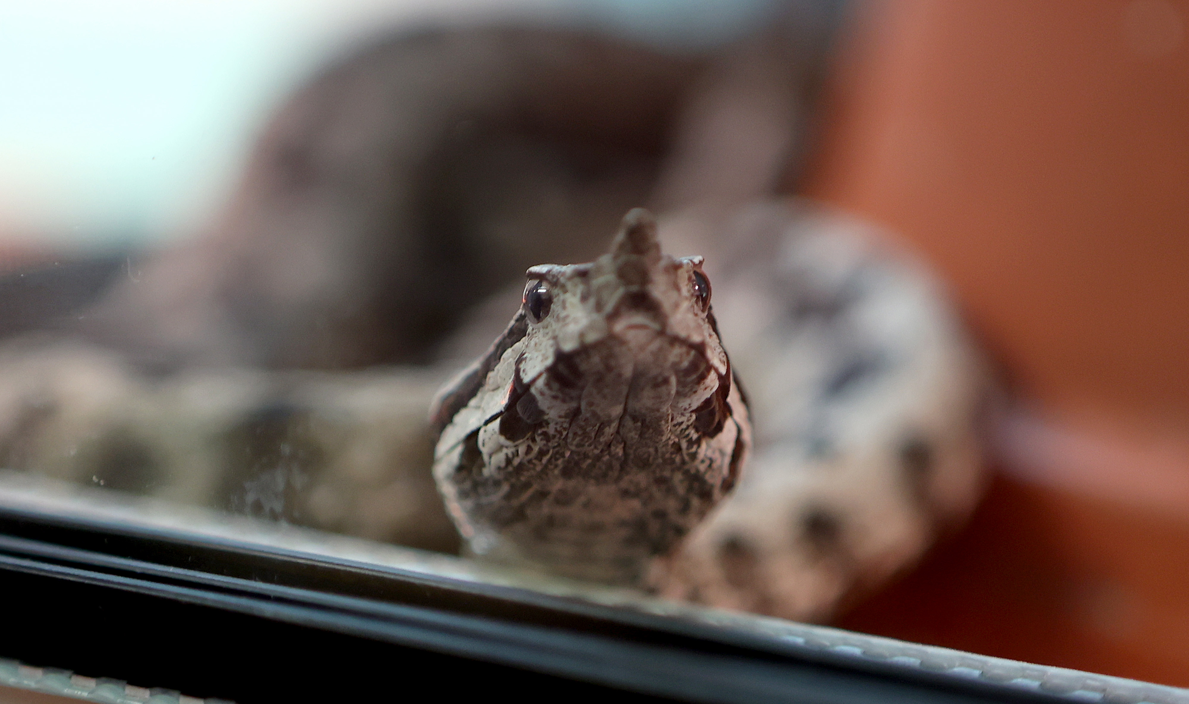 Sveta Nedelja: Ministar Beroš posjetio lokaciju buduće tvornice Imunološkog zavoda