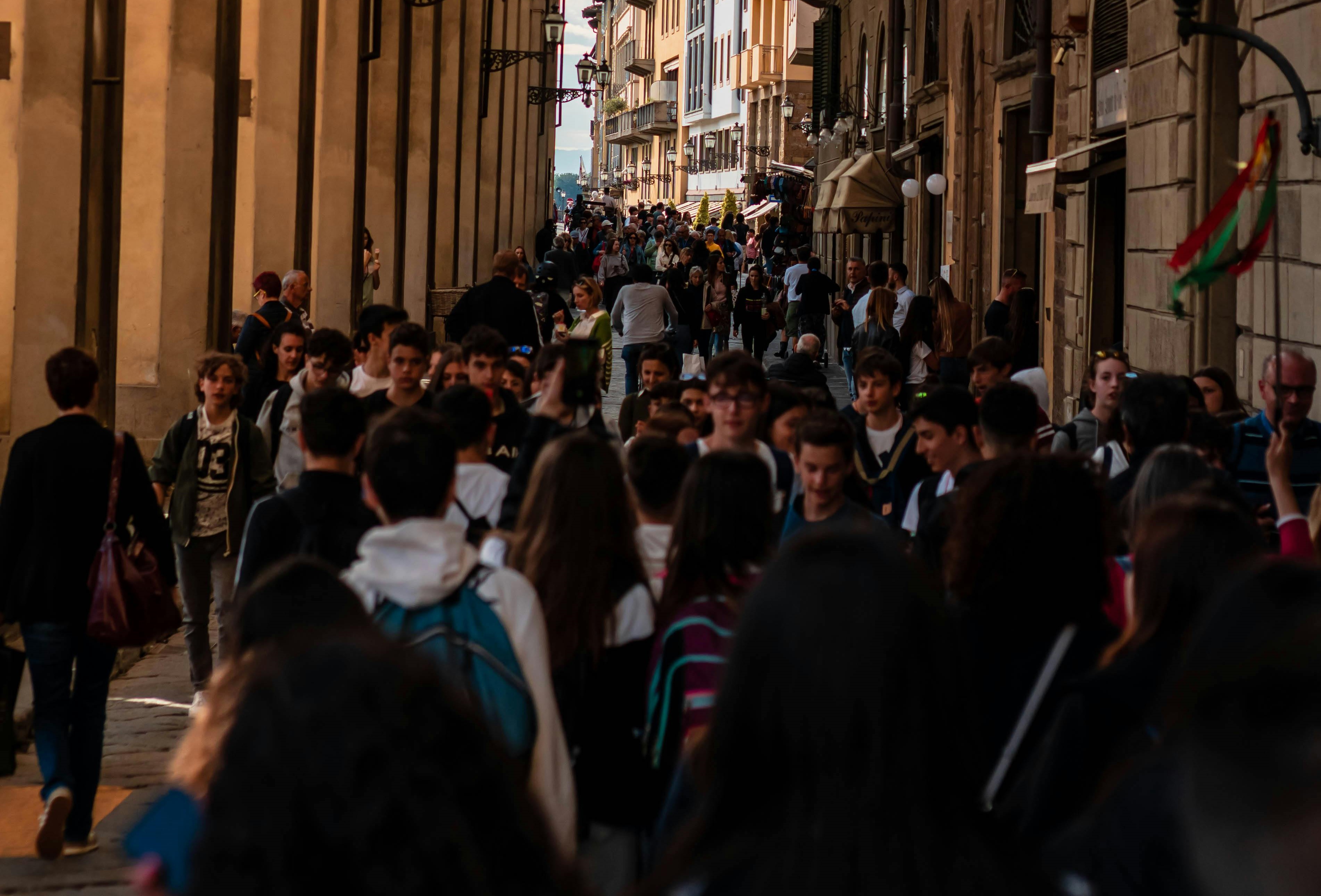 pexels-alejandro-aznar-155337093-20422872