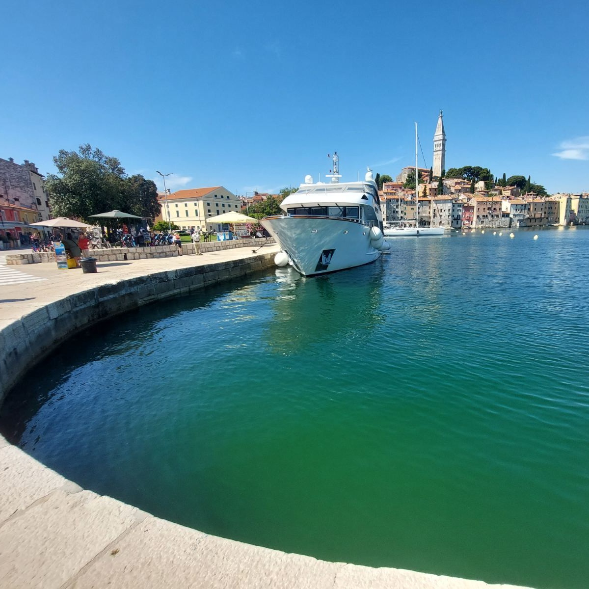 cvjetanje mora u Rovinju