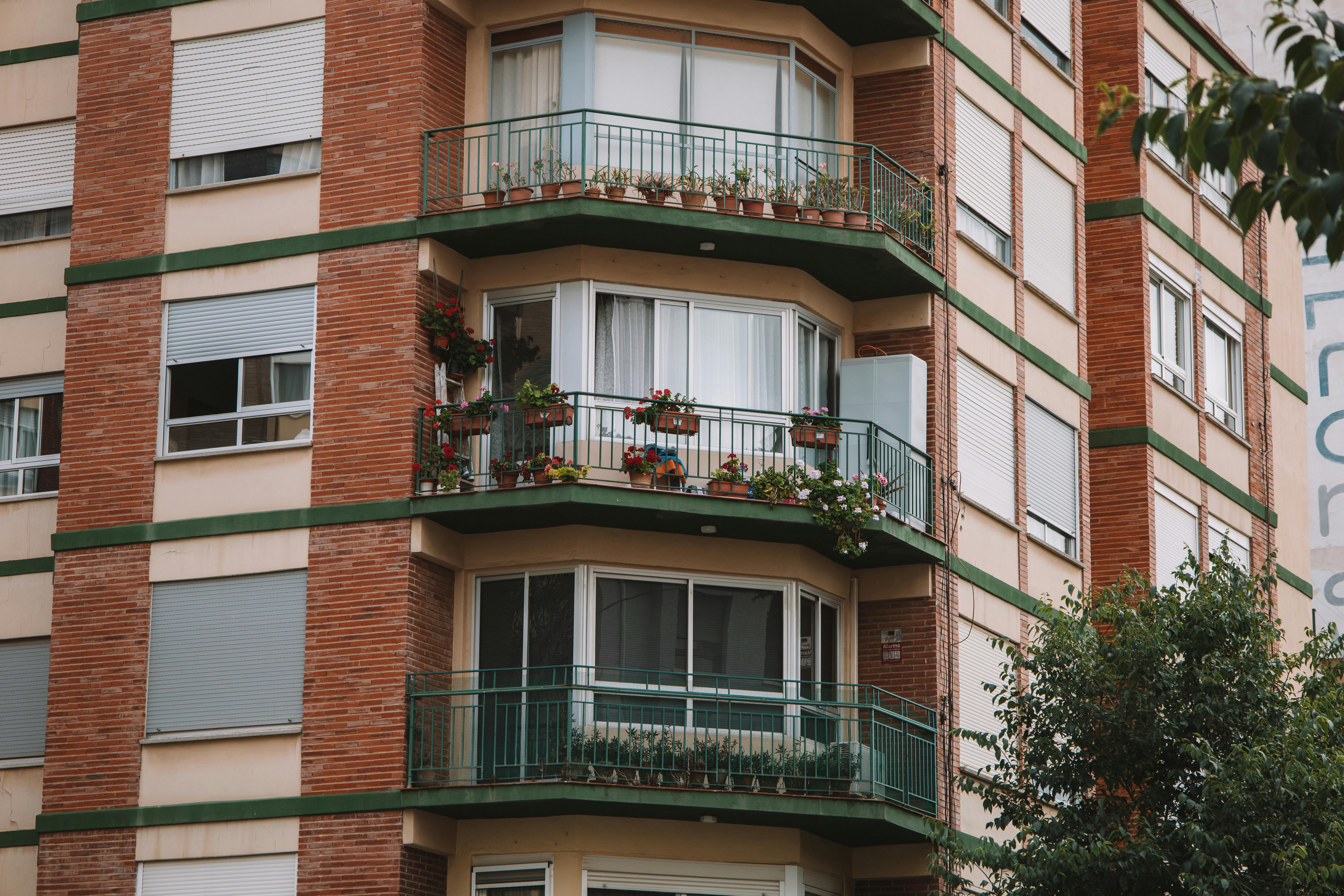 blakon, cvijeće, nekretnine, stanovi, stambeno pitanje