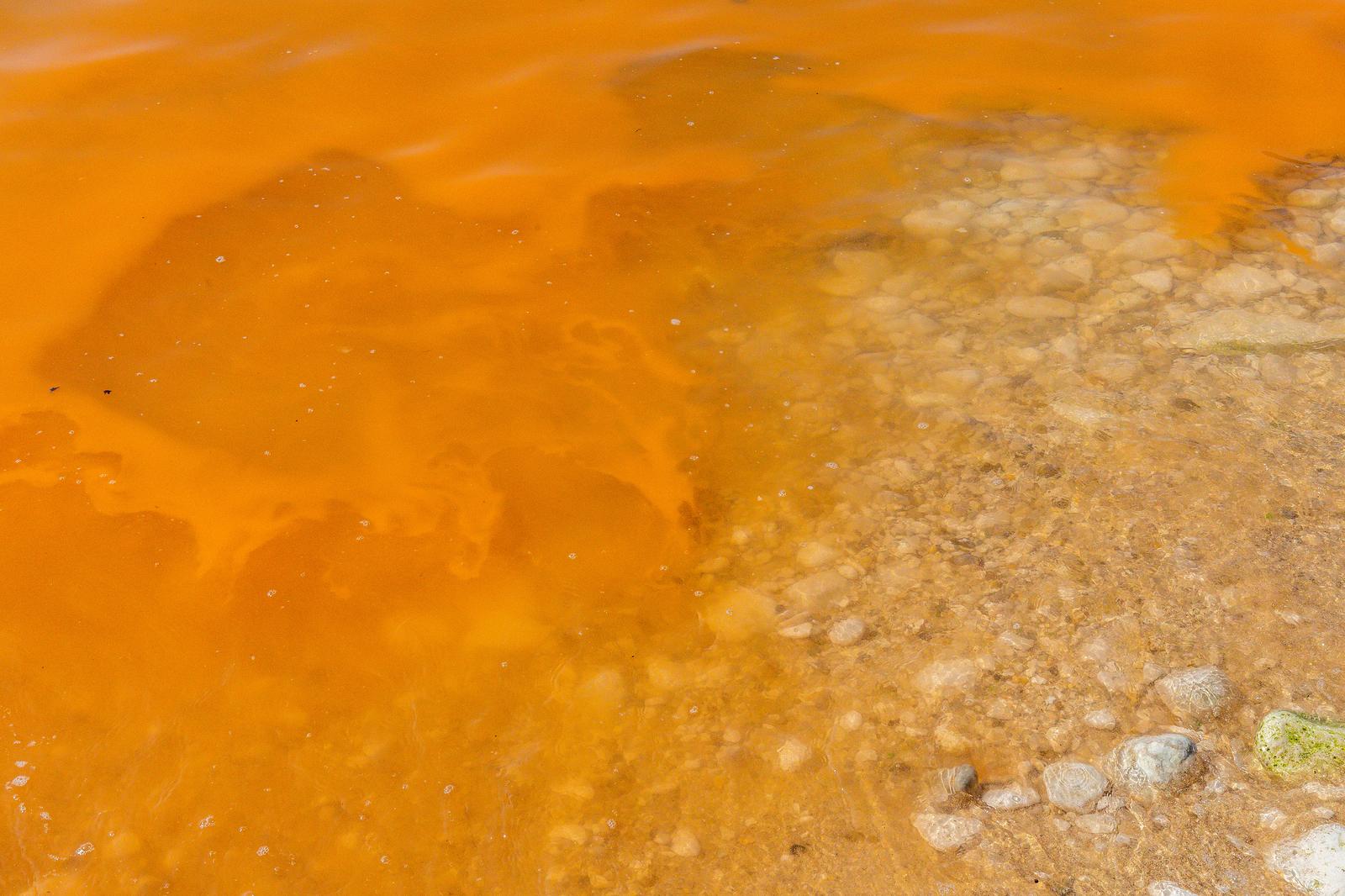 Cvjetanje mora na pojedinim pulskim plažama