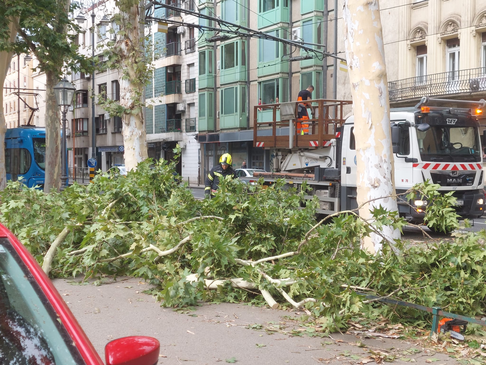 WhatsApp Image 2024-07-01 at 15.48.57