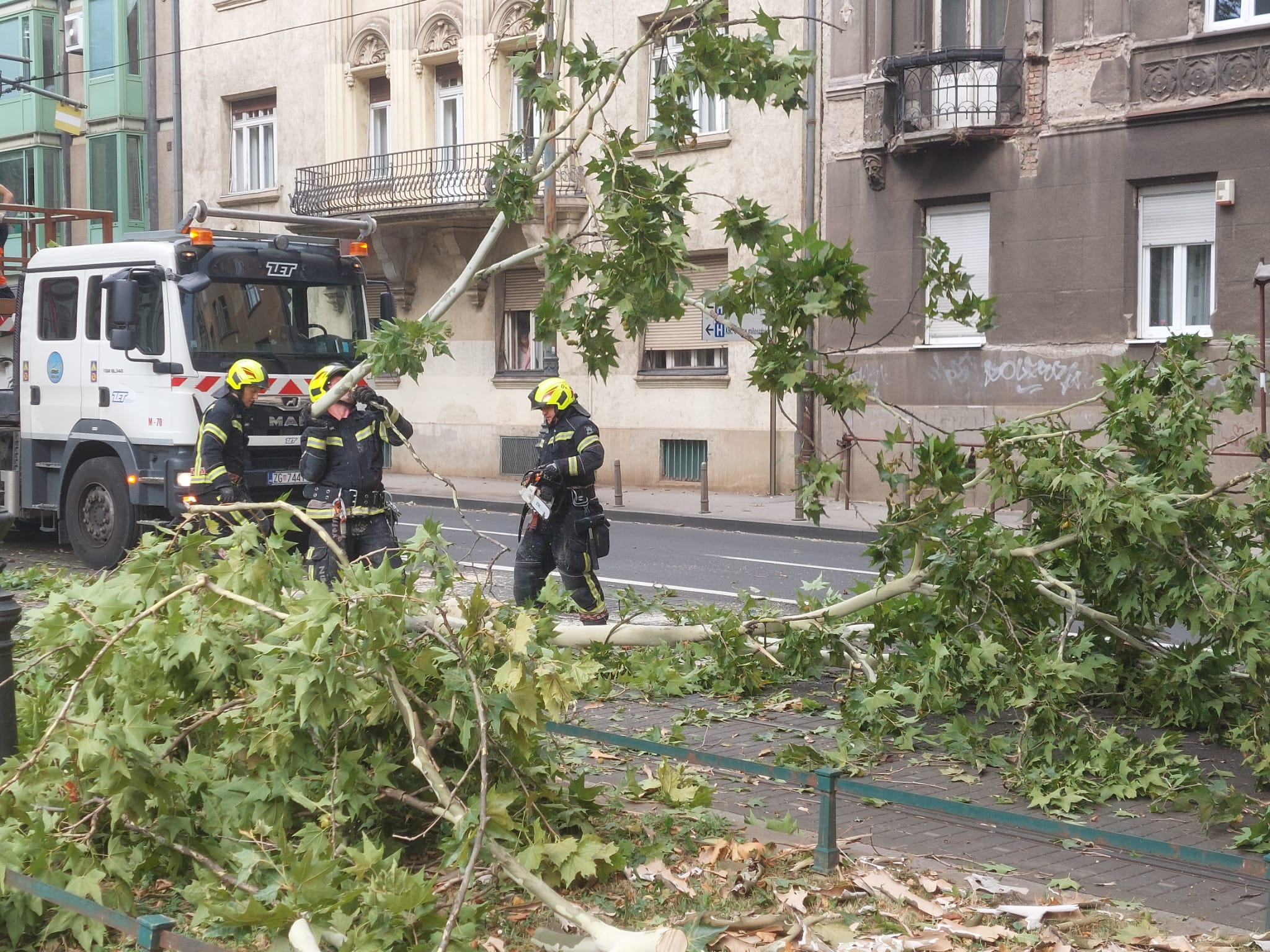 WhatsApp Image 2024-07-01 at 15.48.56