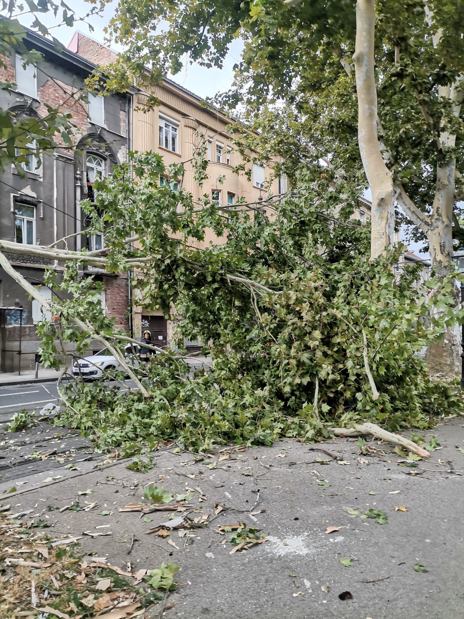 WhatsApp Image 2024-07-01 at 15.36.50