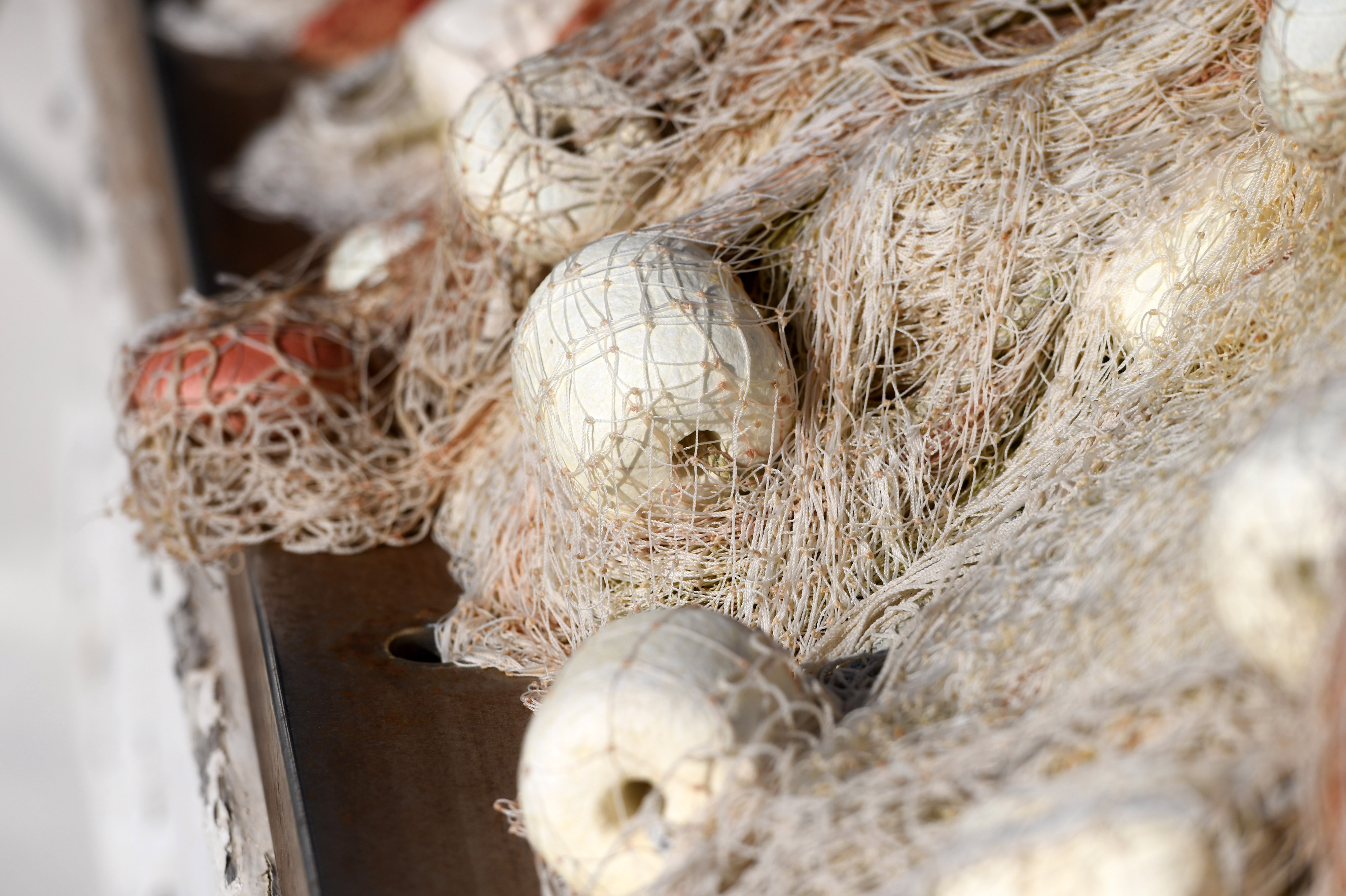 ribarska mreža, ribari, izlov, ribe, ribarstvo